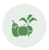 اطعمه طازجه